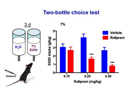 what is the two bottle choice test|2 bottle alcohol preference testing.